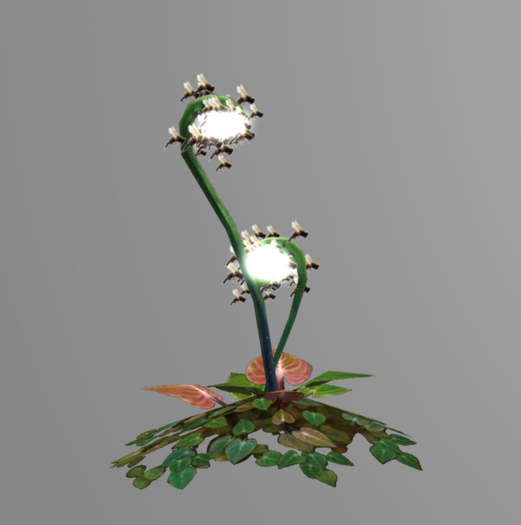 {Papillon} Plant, Fiddler, Effect