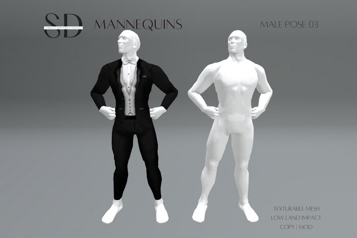 Mesh Male Mannequin 2.0 - Pose 03