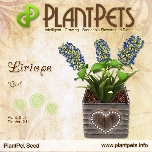 PlantPet Seed [Liriope *Ciel*] RARE