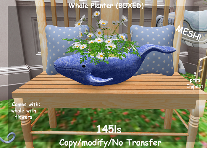 Whale Planter (BOXED)