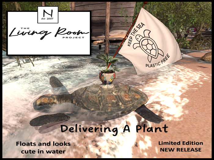 Turtle Transport - Plant In Transit
