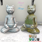 *Sweet little Things* Yoga Cat Milk & Catnip