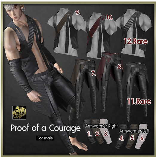 12.legacy [Gild]POC_Vest_BlackBand RARE