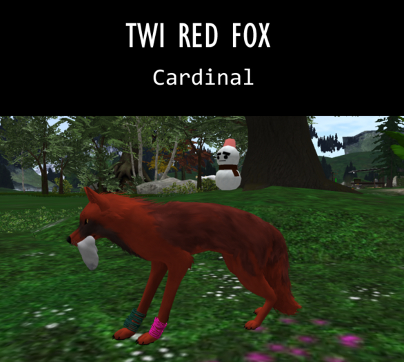 [FF] Cardinal