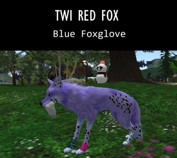 [FF] Blu Foxglove