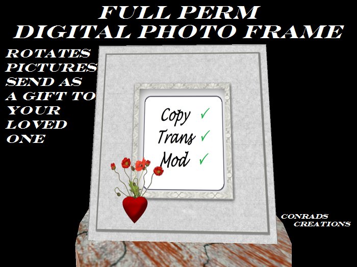 Lovers Digital Photo Frame Rotates pictures
