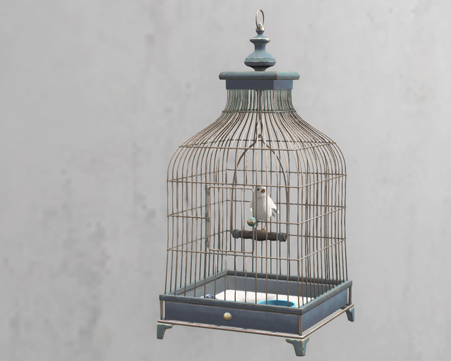 C- Vintage  Bird Cage + Canary Animated