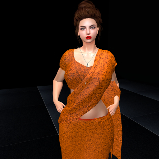 INDIAN MESH ORANGE SAREE
