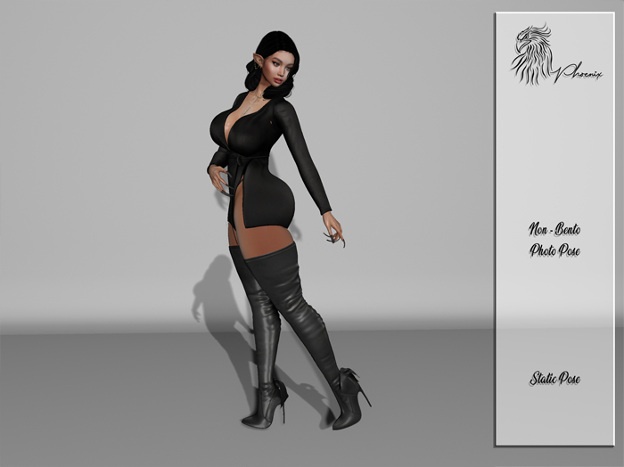 Sweet Model Photo Pose 32 [WEAR TO UNPACK]