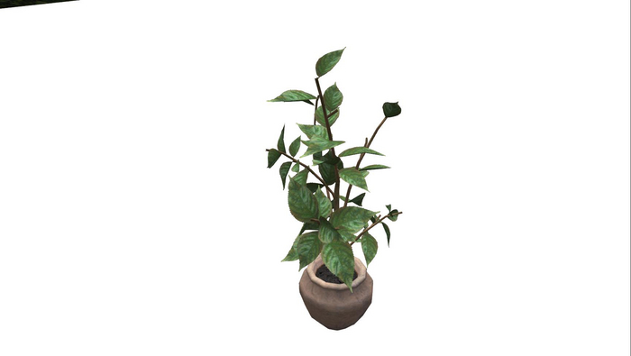 (AURA) HIBISCUS PLANT POT 1.2