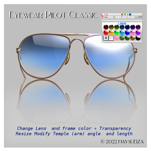 HAYSURIZA_Eyewear_Pilot Classic 2