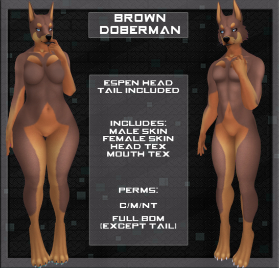 MonCafe - Brown Doberman (Epsen)