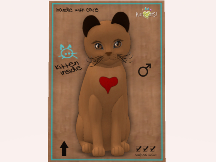 2021 TEACUP Mr. Max 