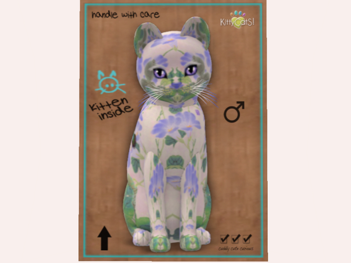  2022 BdB M bLOOmS & biRDieS! - Morning Glory