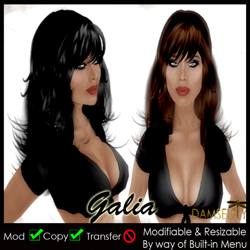 *~*Damselfly*~*Galia All Shaded Tips
