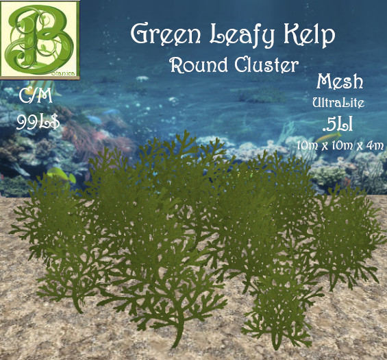 Green Leafy Kelp 10M Round Cluster, .5LI (ADD)