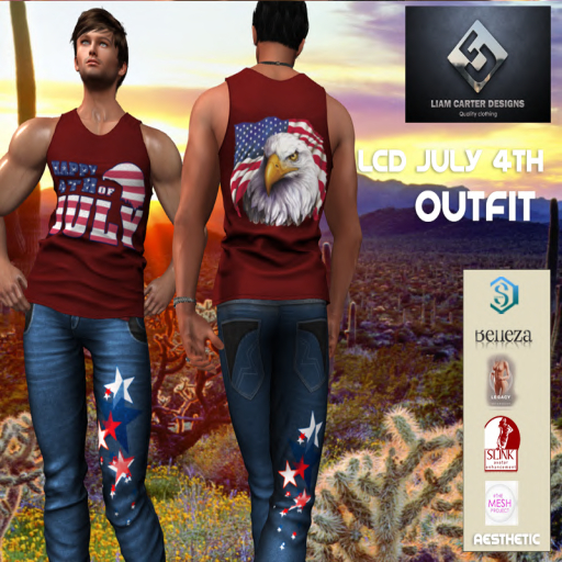 LCD July 4th Outfit M