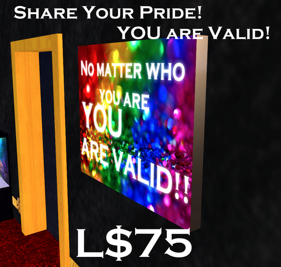 You Are Valid! Sign (pride month 2022 gift) [box]