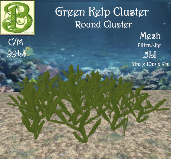 Blue Green Kelp 10M Round Cluster, .5LI