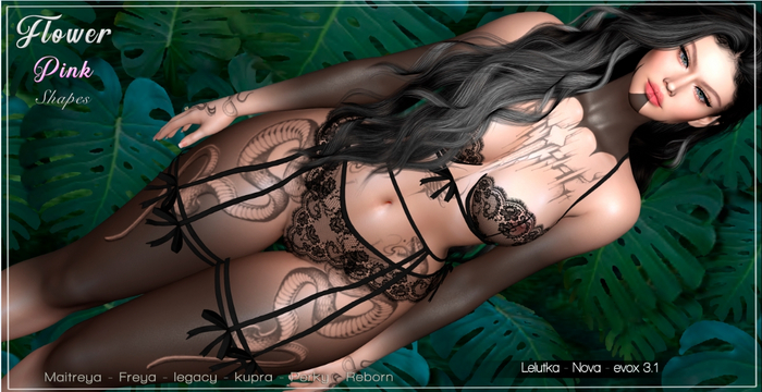 SHAPE - ALERYN - LELUTKA - NOVA - EVOX - 3.1