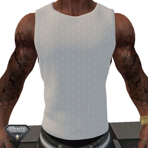 WL-R4lph L4urent White Top-Aesthetic