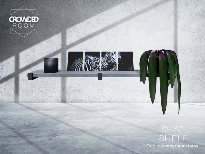 Crowded Room - Shae Shelf 