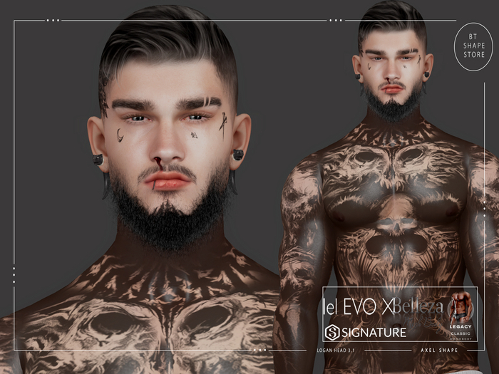 Logan Head 4.0 Axel Shape