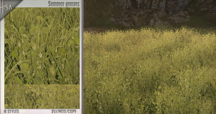 -Hisa- Summer Grasses