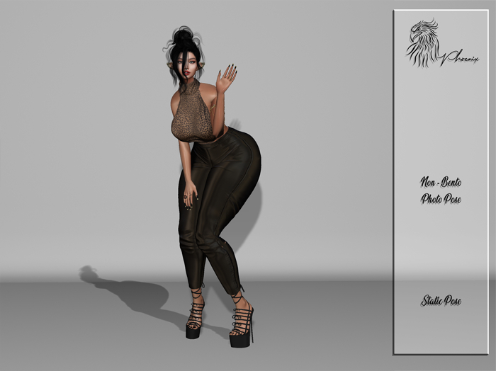 Sweet Model Photo Pose 56 [WEAR TO UNPACK]