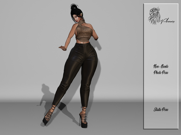 Sweet Model Photo Pose 57 [WEAR TO UNPACK]