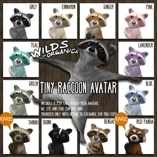 [ WoO ] Tiny Raccoon Avatar (Ginger)(T)