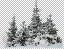 534 - Snowy Pine Trees - Garden - Home - land Decoration
