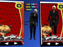 CAT NOIR BOX WHIT POSE