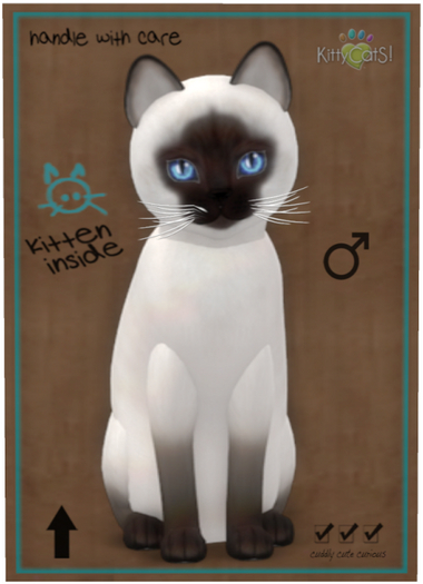 KittyCatS Box - Siamese - Chocolate