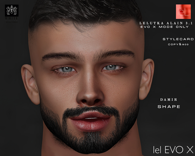 DAMIR Shape for lelutka ALAIN 3.1 evo x 