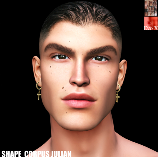 SHAPE  CORPUS JULIAN