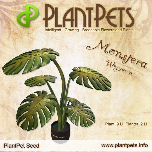 PlantPet Seed [Monstera *Wyvern*] UPDATED