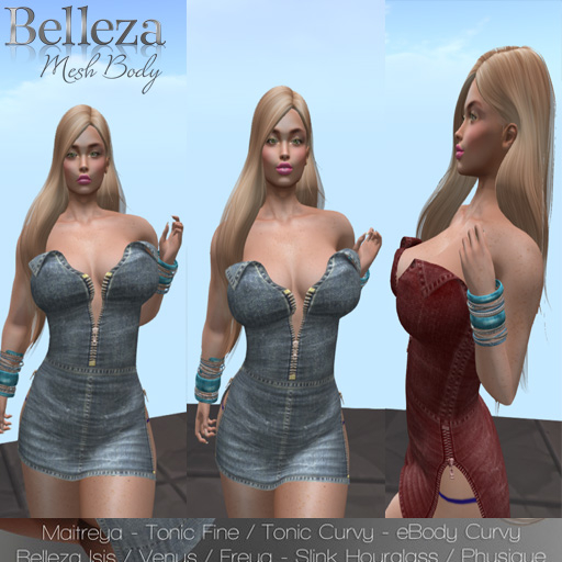 MYP Zippered Dress