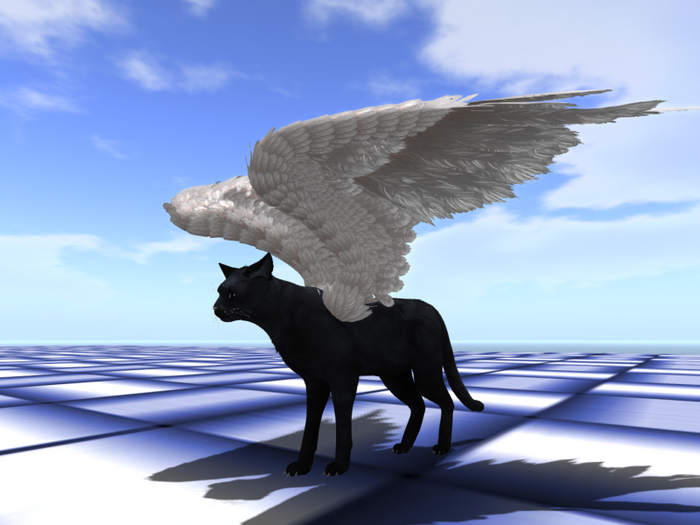 TWI fox wing deform