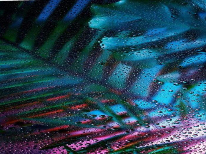Tropical Neon Texture
