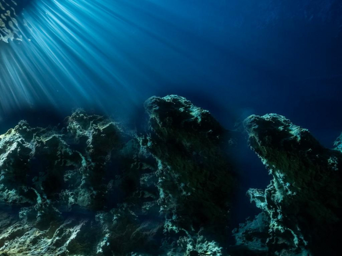 Underwater Rocks Texture