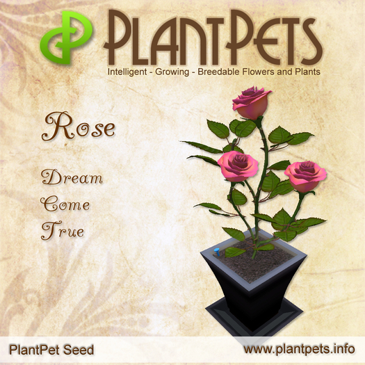 PlantPet Seed [Rose *Dream Come True*]- common - free breeding - no extra costs