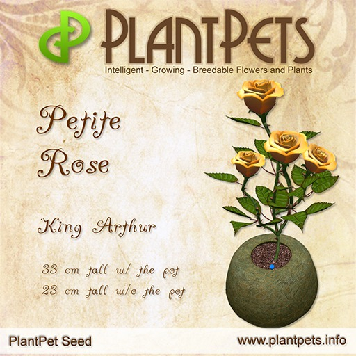 XMAS SALE - PlantPet Seed [Petite Rose *King Arthur*] - common - free breeding - no extra costs