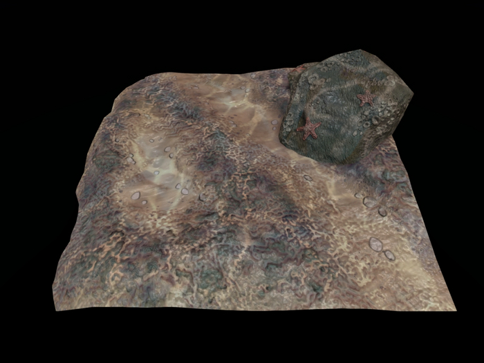 Full Perm "Ocean Floor Scene"