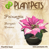 XMAS SALE - PlantPet Seed [Poinsettia *Fairytale Dreams*] - RARE - free breeding - no extra costs