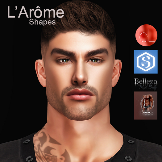 PERRIN BENTO MALE SHAPE LELUTKA HEAD LOGAN EVOX