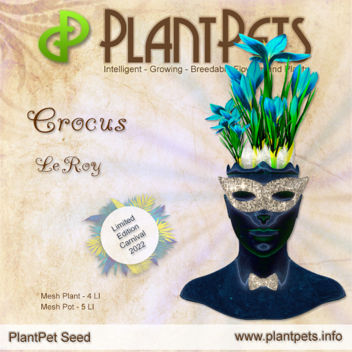 PlantPet Seed [Crocus *LeRoy*] Limited, Released 26.2.2022 / Trusted Breeder of PP