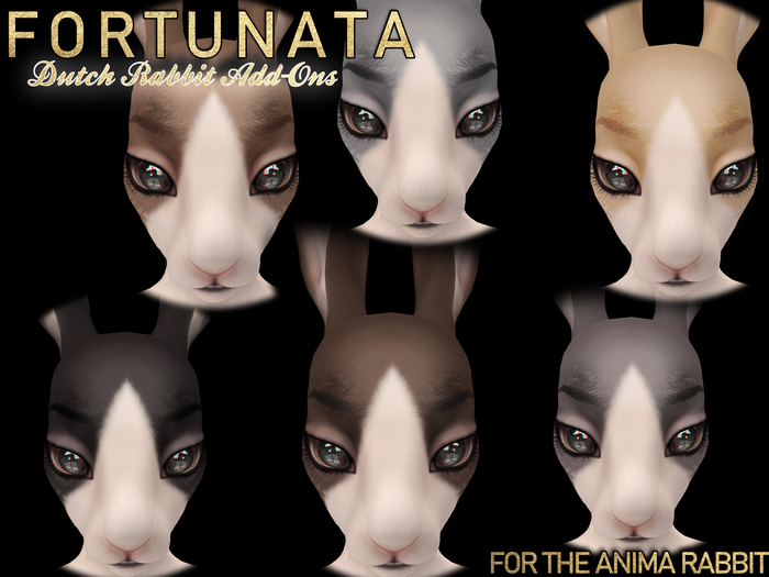 .::F::. Anima Rabbit Add-Ons : Dutch (Add to Unpack)