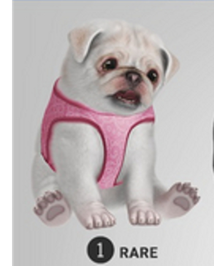 SEmotion Libellune Puppy Pug Companion RARE 01 