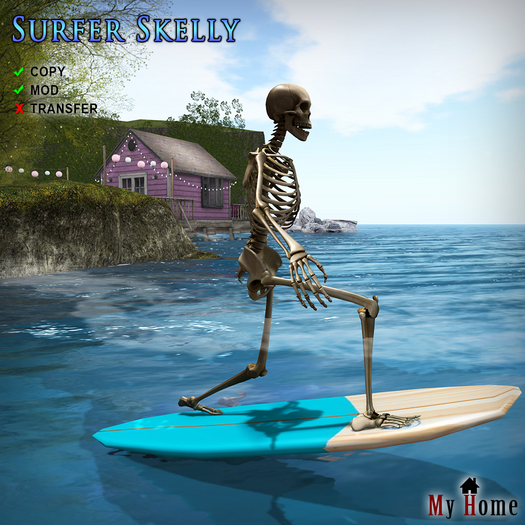[My Home] Surfer Skelly